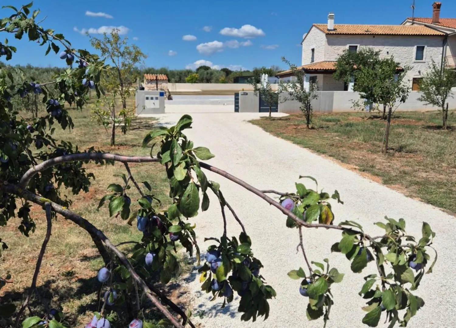 Stone Villa With Private Pool 普拉